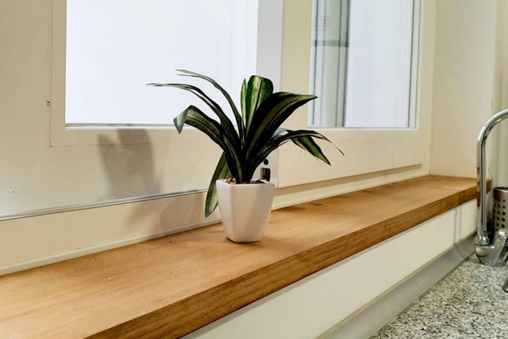 Apartamento Interior En El Absoluto Centro Ba 阿尔赫西拉斯 外观 照片